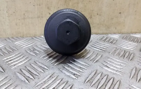 Volkswagen Tiguan Oil filter cover 038117061B