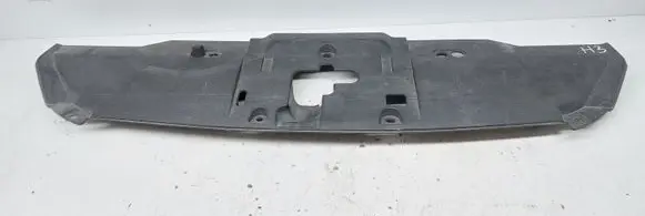 Engine bonnet/hood lock trim molding