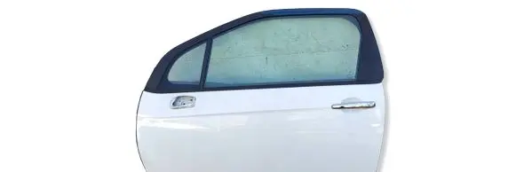 Citroen DS3 Front door DLPDS3