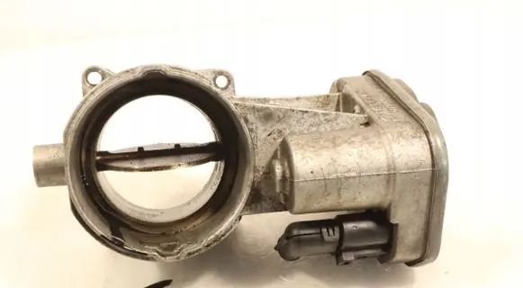 Volkswagen Phaeton Throttle body valve V3520043