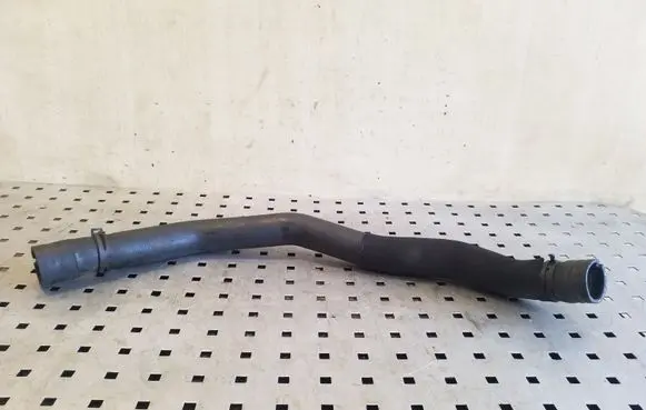 Mercedes-Benz A W169 Engine coolant pipe/hose A1695011082