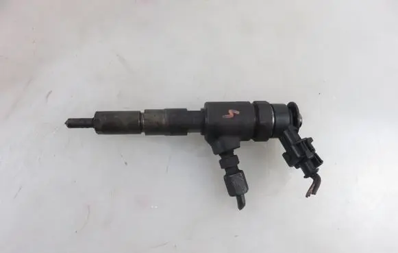 Peugeot 206 Fuel injector 0445110252