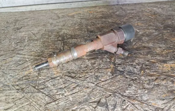 Renault Scenic I Fuel injector 8200100272 0445110110B