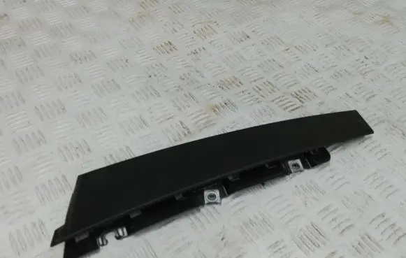 Citroen C3 Front door trim (molding) 9813247980