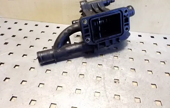 Thermostat/thermostat housing