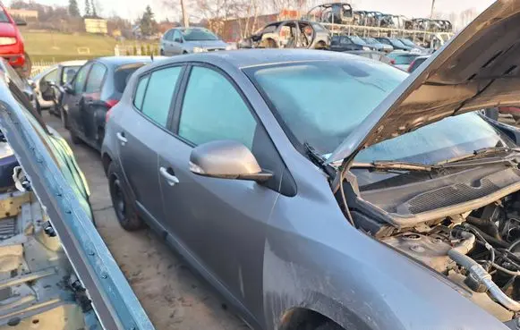 Renault Megane III Front door MEGANE3-DRZWI-PP
