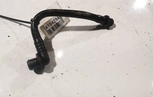 Volkswagen PASSAT B5 Vacuum line/pipe/hose 