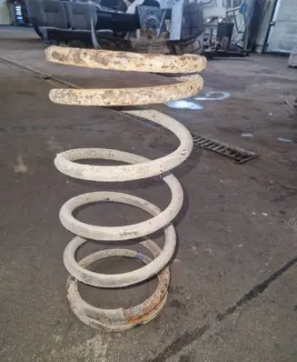 Rear coil spring
