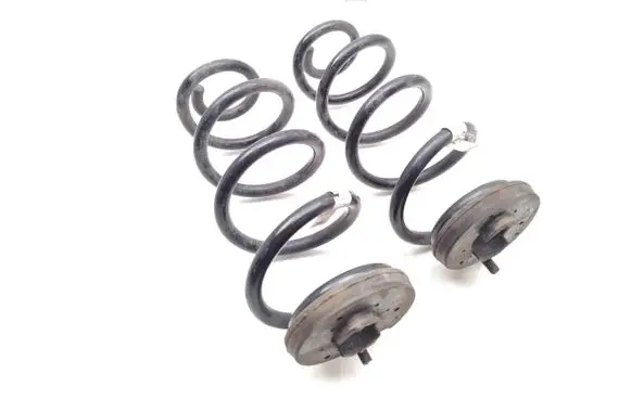 Rear coil spring