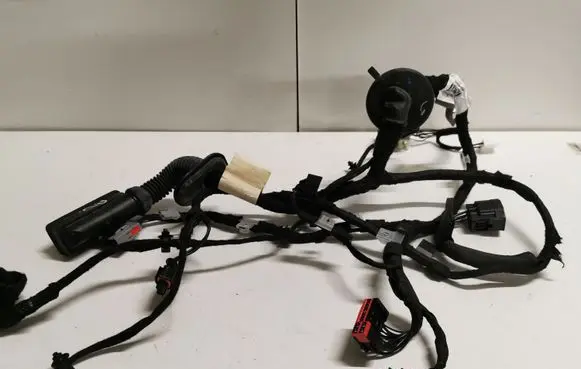 Front door wiring loom