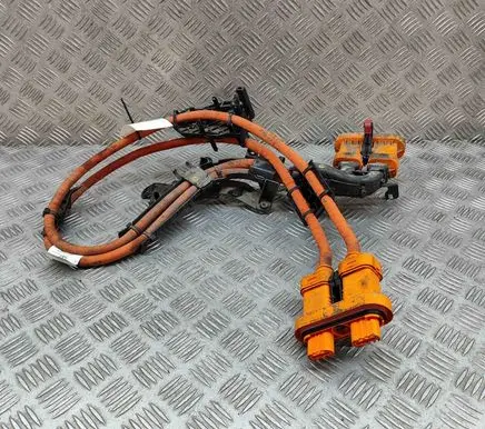 Volkswagen ID.3 Other wiring loom 1EA971015S