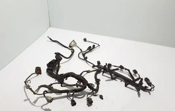 Volkswagen Amarok Engine installation wiring loom 2H0971078AG