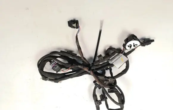 Volkswagen PASSAT CC Other wiring loom 3C8971095BD