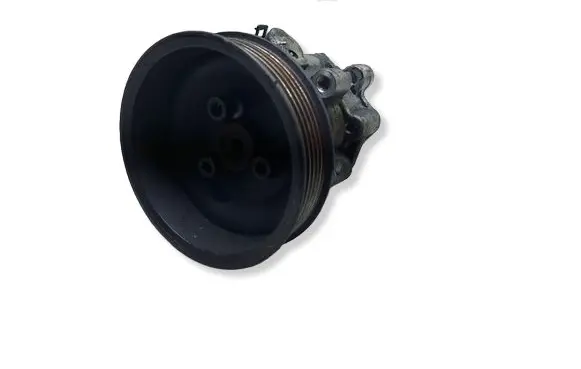 Volkswagen Golf IV Power steering pump 1J0422154BKASACJA 1J0422154B