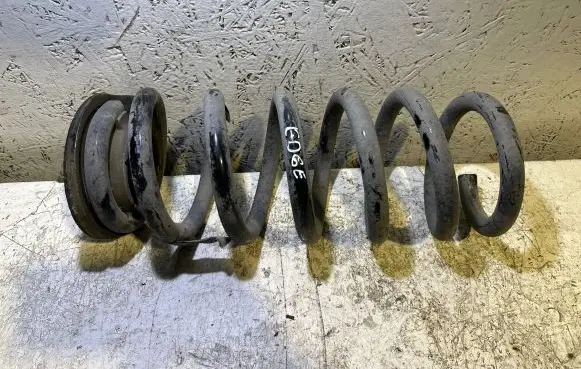 Ford Edge II Rear coil spring