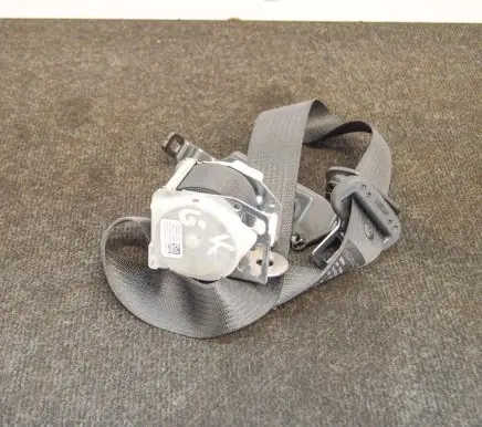 Tesla Model S Rear seatbelt
