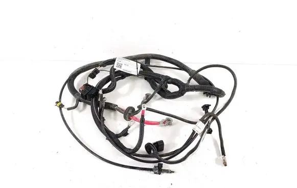 Ligier JS 50 Engine installation wiring loom 1411188