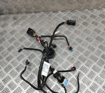 Tesla Model Y Other wiring loom 248905004C