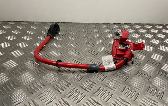 BMW 5 F10 F11 Positive cable (battery) 9217036