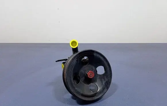 KIA Carens II Power steering pump 