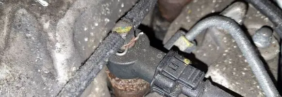 Honda FR-V Fuel injector 0445110296