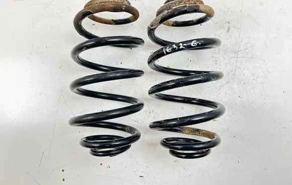 Rear coil spring