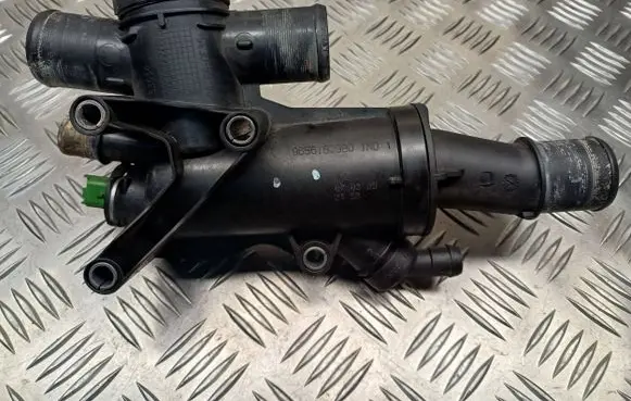 Thermostat/thermostat housing