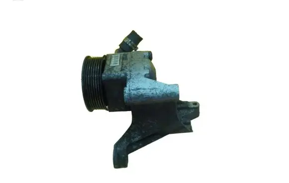 Fiat Ducato Power steering pump 200000019