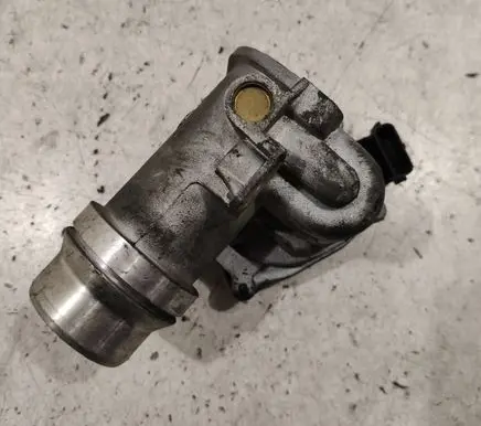 Renault Megane III Throttle valve 8200614985