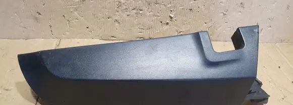 Rear/tail light trim molding