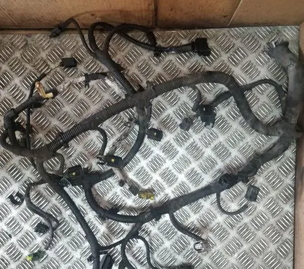 Engine installation wiring loom