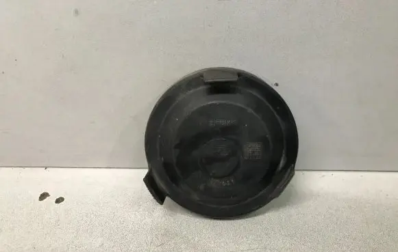 Volkswagen PASSAT B5 Headlight/headlamp dust cover 147969
