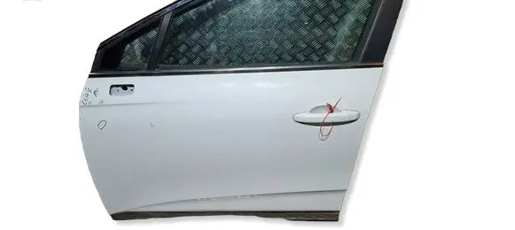 Renault Clio V Front door S26301075