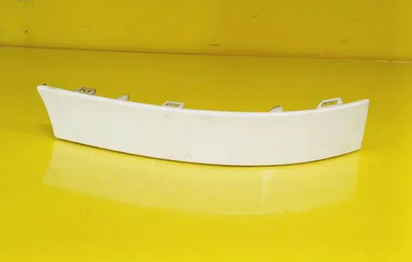 Rear/tail light trim molding