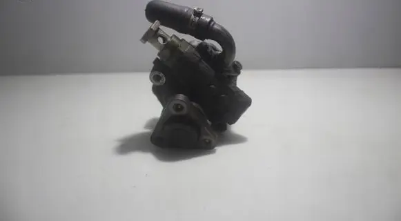 Volkswagen PASSAT B5.5 Power steering pump