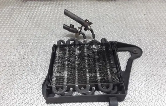 Ford Galaxy Coolant radiator 7M3121093A