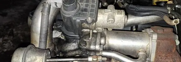 Nissan Note (E11) EGR valve 70036804 7180693879