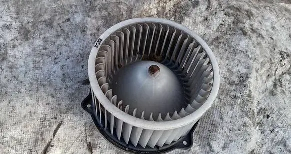 Hyundai Santa Fe Heater fan/blower BGK8