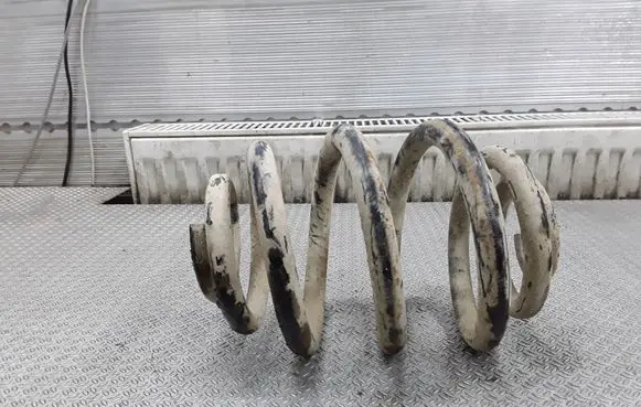 Volkswagen Sharan Rear coil spring