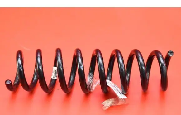Rear coil spring