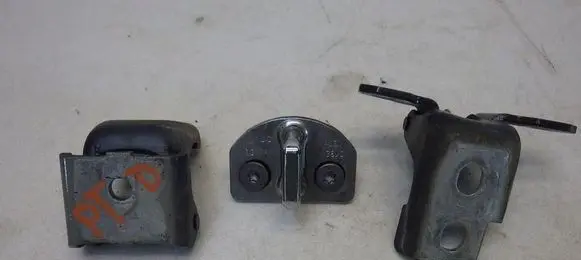 Renault Megane III Rear door hinge set 804200003R