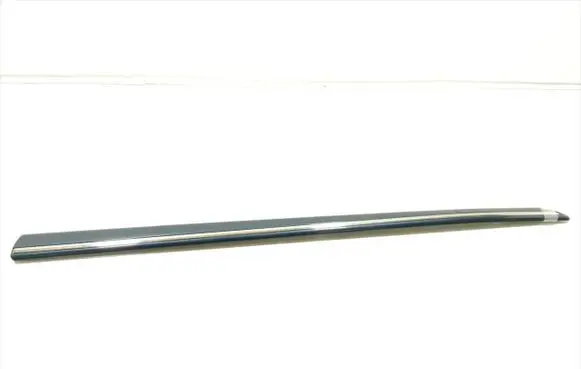 Mercedes-Benz A W169 Front door trim (molding) A1696900362