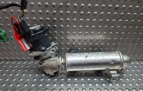 Peugeot Expert EGR valve S27624203 9658203780