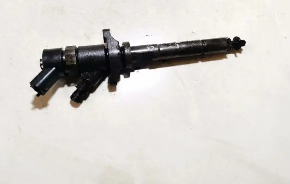 Citroen C5 Fuel injector 0445110188