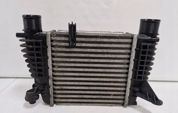 Nissan Juke I F15 Intercooler radiator 14461EM00A