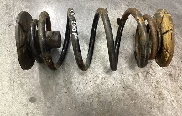 Rear coil spring