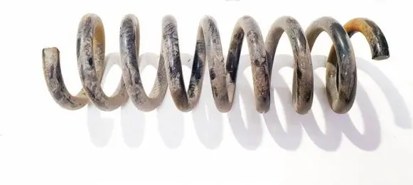 Rear coil spring