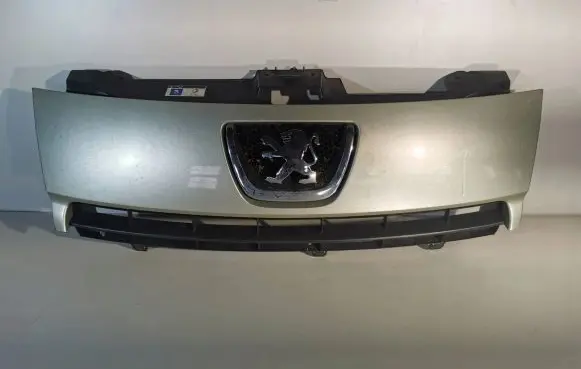Peugeot Expert Front grill