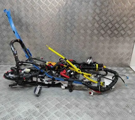 Tesla Model Y Other wiring loom 248904202A 101558500A