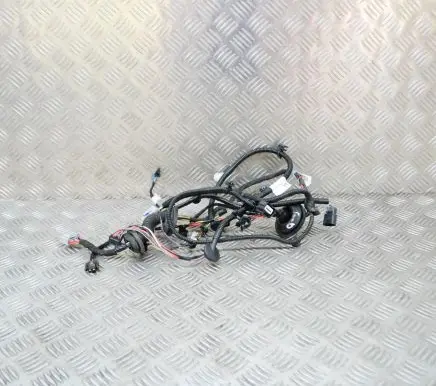 Tesla Model S Other wiring loom 106910601B
